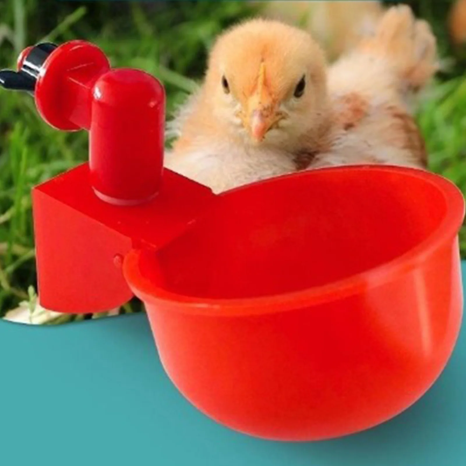 6-36Pcs Chicken Duck Drinking  - Chicken Nipple Drinker 评论和价格