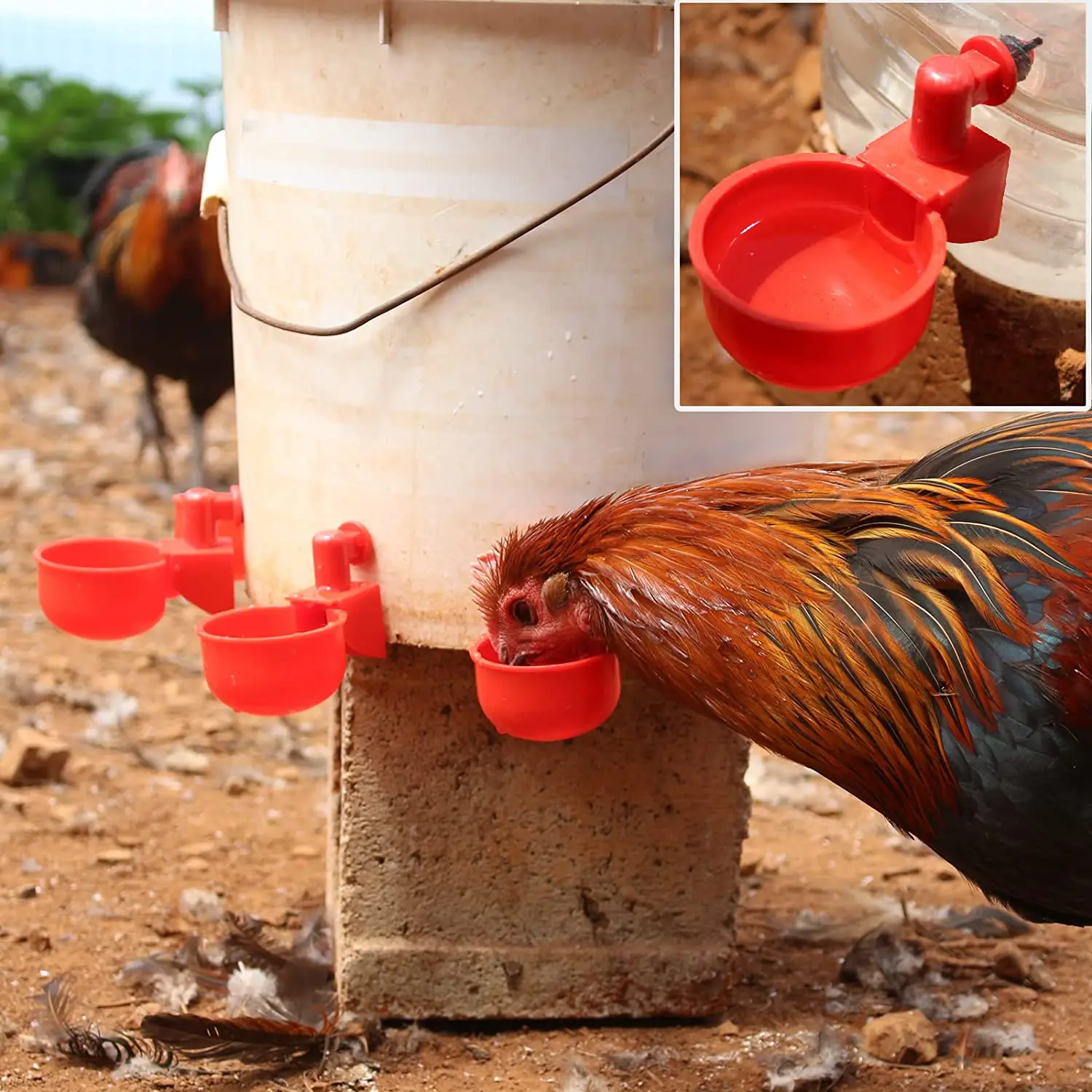 6-36Pcs Chicken Duck Drinking  - Chicken Nipple Drinker 评论和价格