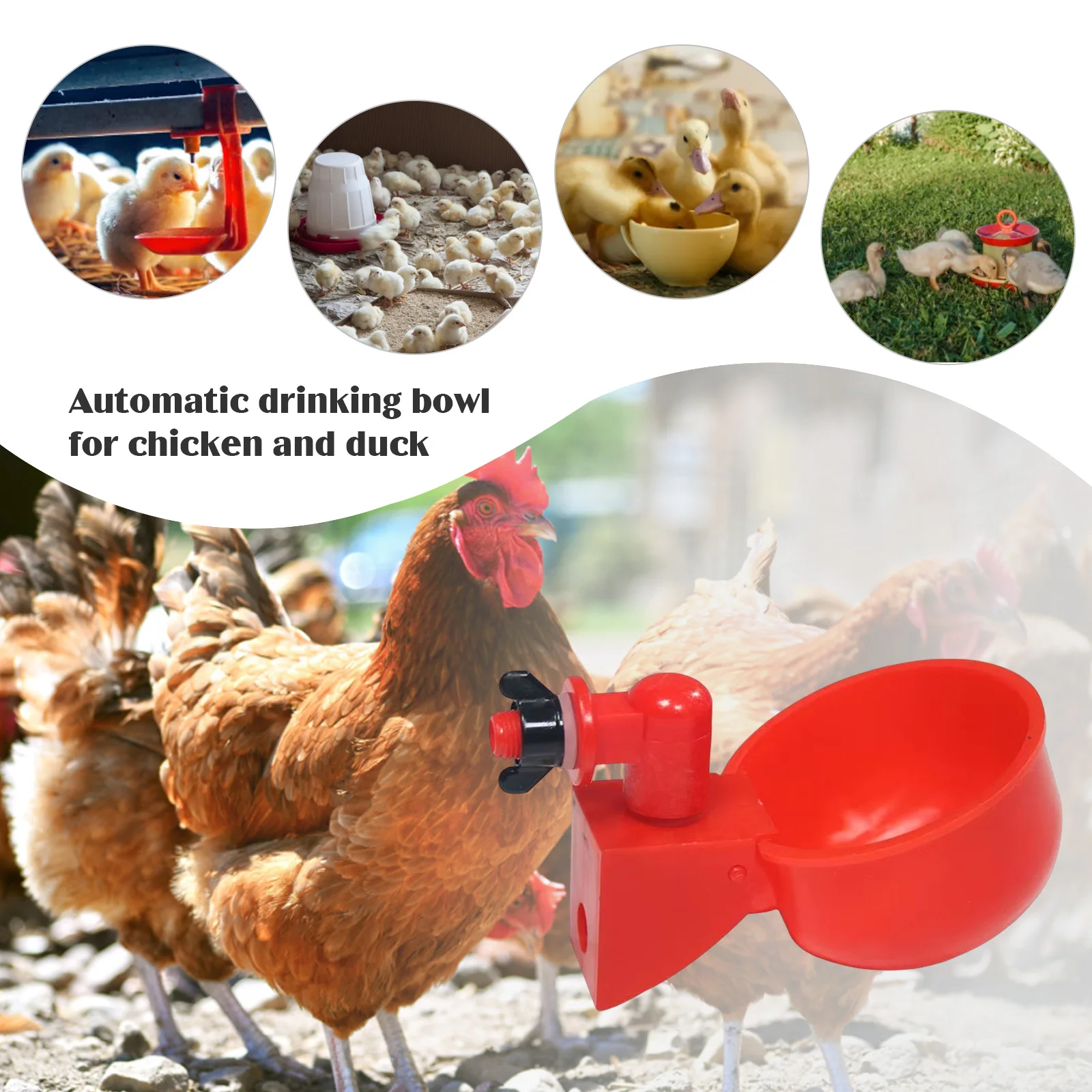 6-36Pcs Chicken Duck Drinking  - Chicken Nipple Drinker 评论和价格
