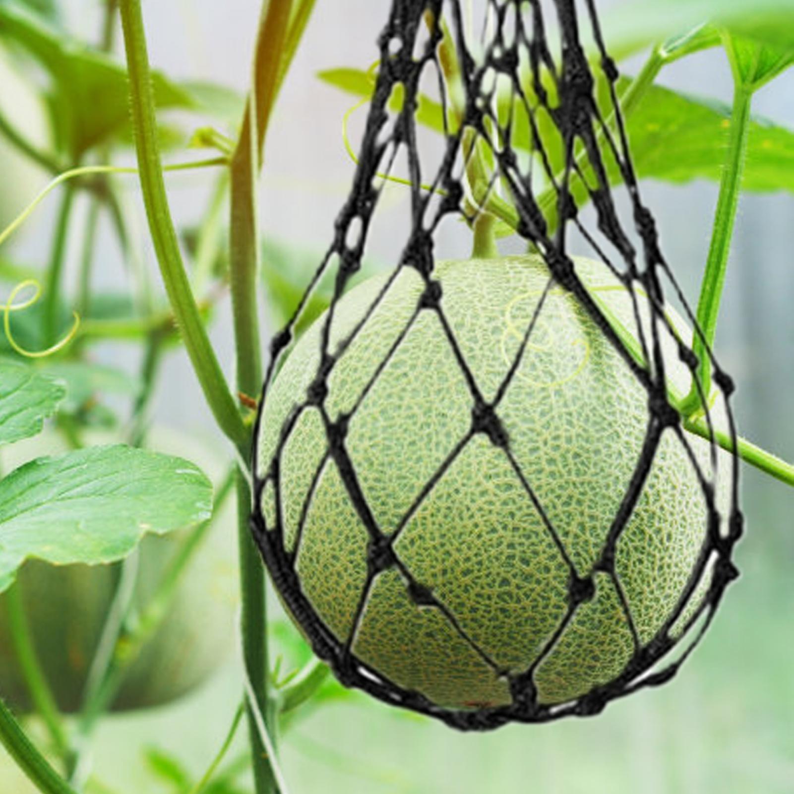10pcs Watermelon Nets Garden V - Agriculture Vertical Farming 评论和价格