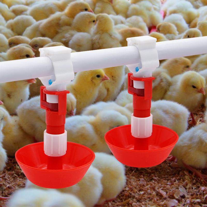5/10/20 Pcs Automatic Chicken  - Chicken Nipple Drinker 评论和价格