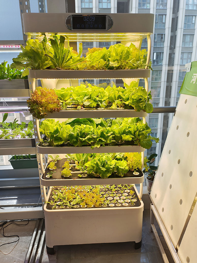 c Agriculture Machine to Growi - Agriculture Vertical Farming 评论和价格