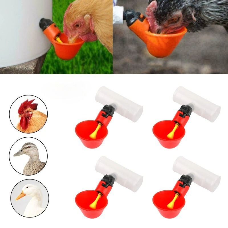 4Pcs Automatic Chicken Quail D - Chicken Nipple Drinker 评论和价格