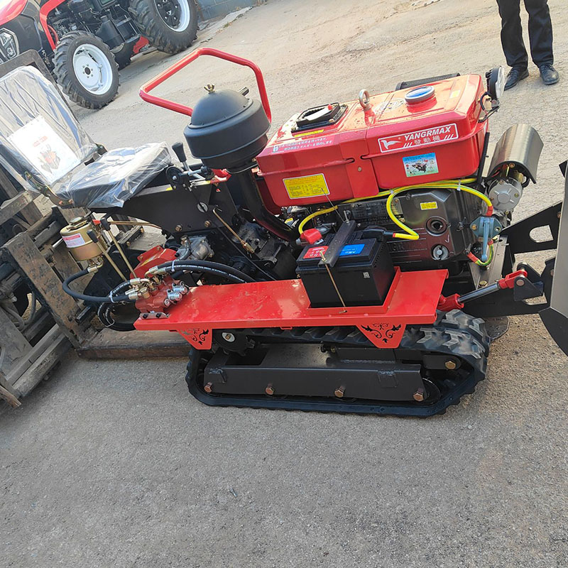 1-Year Warranty Compact Size C - Farming Year 评论和价格