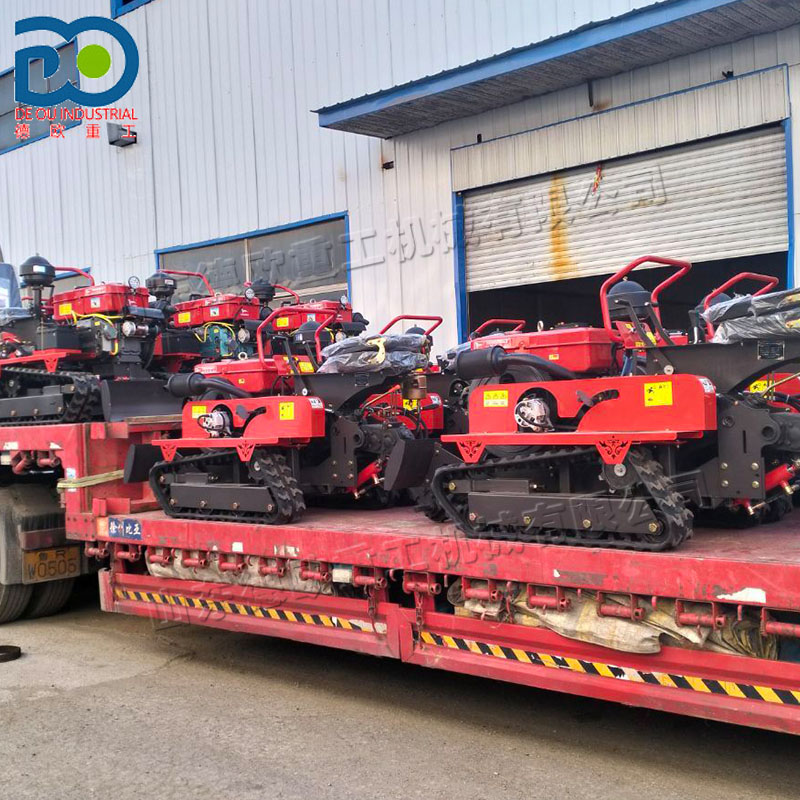 1-Year Warranty Compact Size C - Farming Year 评论和价格