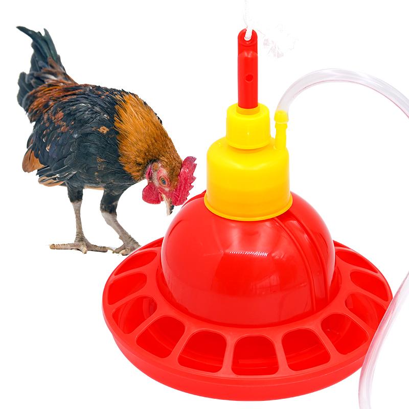1 Set Chicken Duck Goose Broil - Chicken Nipple Drinker 评论和价格