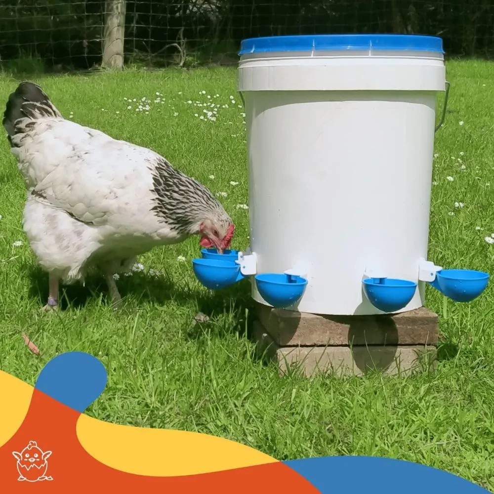 5PCS Poultry Kit Automatic Chi - Chicken Nipple Drinker 评论和价格