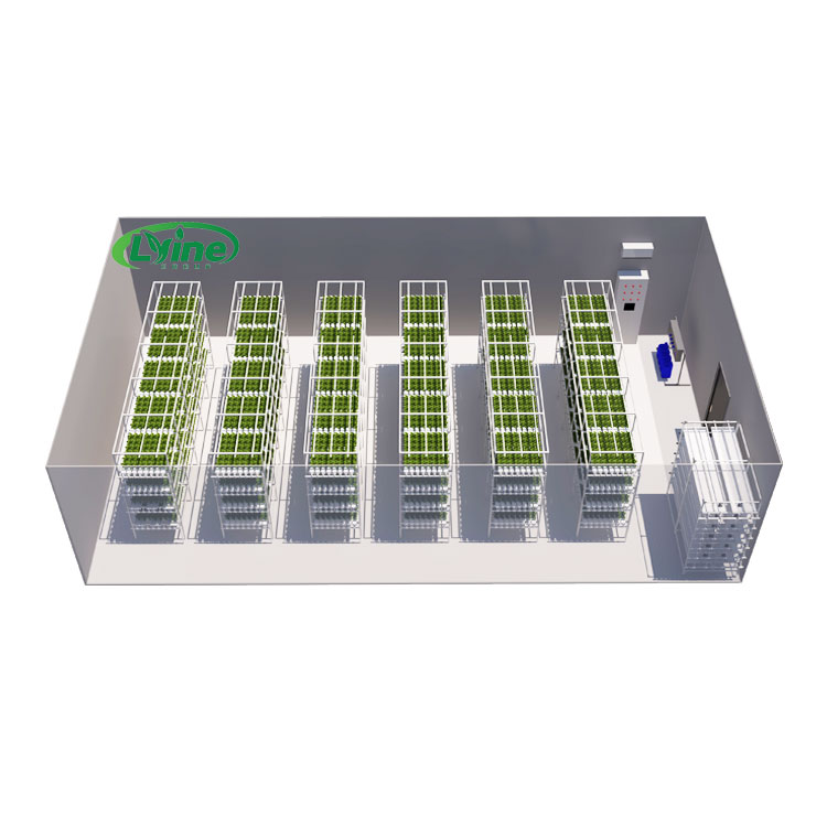 Agricultural Greenhouses Lettu - Agriculture Vertical Farming 评论和价格