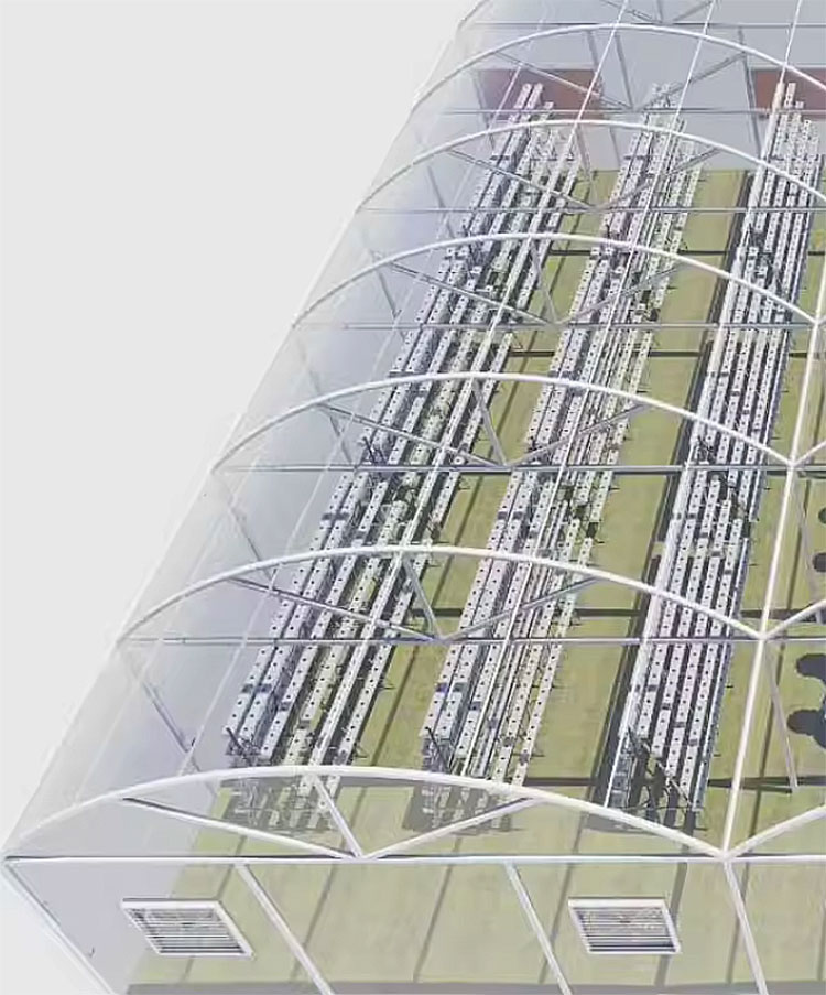 Agricultural Greenhouses Lettu - Agriculture Vertical Farming 评论和价格